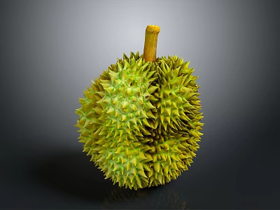 Fresh Ripe Durian Fruit With Shiny Green Spiky Shell And Yellow Stem 3d model