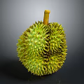 Fresh Ripe Durian Fruit With Shiny Green Spiky Shell And Yellow Stem