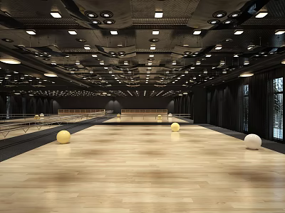 Spacious Indoor Fitness Studio With Wooden Floor Yellow White Exercise Balls And Ceiling Lights 3d model