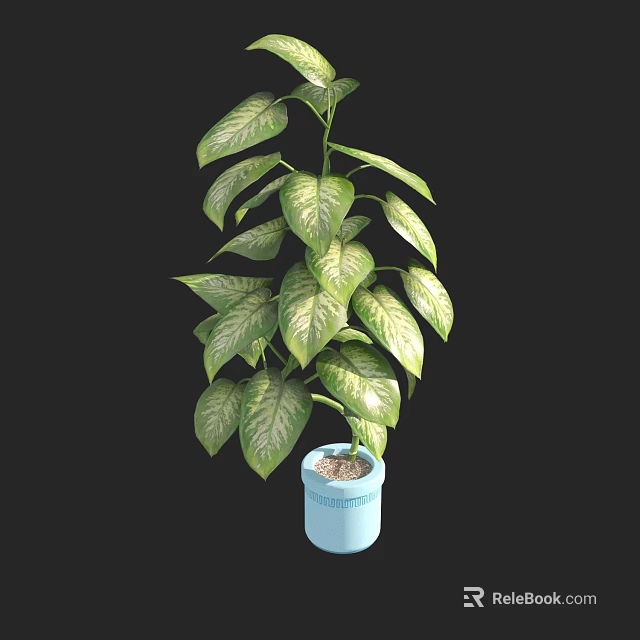 Indoor Variegated Potted Plant with Green and White Leaves in Light Blue Pot 3d model 