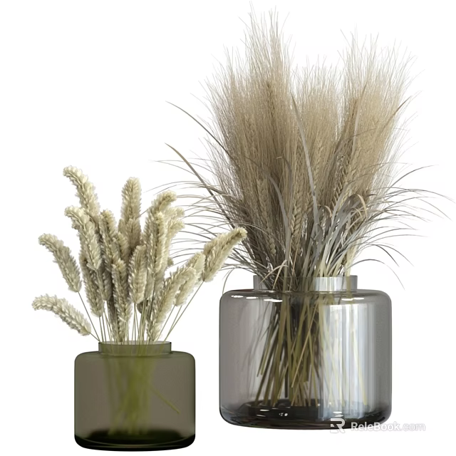 Decorative Ornament Set with Green and Transparent Vases Dried Grasses and Wheat Stems 3d model 