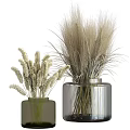 Decorative Ornament Set with Green and Transparent Vases Dried Grasses and Wheat Stems