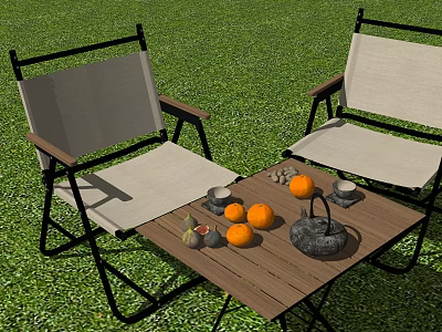 Outdoor Garden Table and Canvas Chairs Set With Fruits and Tea on Grass 3d model