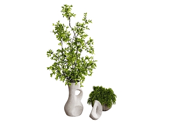 flowerpot plant green plant vase potted plant 3d model