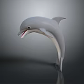 Realistic Gray Dolphin Model Jumping Pose With Smooth Surface And Dark Background Reflection 3d model