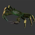 Brown Crab With Long Legs And Large Claws On Transparent Surface With Reflection 3d model