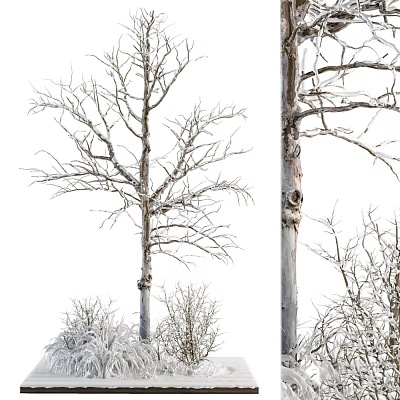 Tall Leafless Arbor With Snow-Covered Trunk And Small Shrubs Around It 3d model