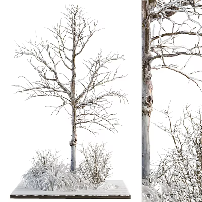 Tall Leafless Arbor With Snow-Covered Trunk And Small Shrubs Around It 3d model Tall Leafless Arbor With Snow-Covered Trunk And Small Shrubs Around It 3d model