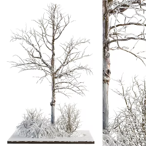 Snow Trees Cedar Frozen Trees Landscape Green Planting Outdoor Trees Street Trees Flower Beards Green Planting 3d model