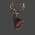Realistic Deer Head Taxidermy Mount Isolated on Gray Background for Home Decoration
