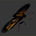 Monarch Butterfly With Spread Orange And Black Wings And White Spots On Dark Background