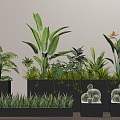 Plant combination potted flowers and plants outdoor flower box flower pool flower bed plant pile 3d model