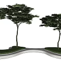 Curved Tree Pits With Green Grass And Trees In Modern Urban Landscape Design