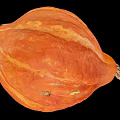 Fresh Ripe Orange Whole Pumpkin With Striped Skin And Natural Stem