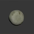 Fresh White Mushroom with Smooth Round Cap and Firm Stalk on Dark Surface