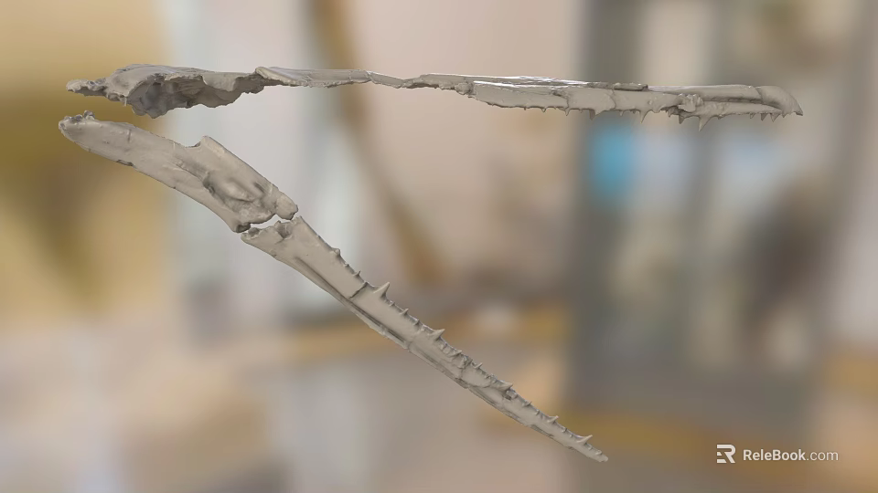Elongated Skeletal Bones With Cracked Texture And Irregular Edges 3d model 