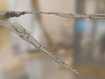 Elongated Skeletal Bones With Cracked Texture And Irregular Edges 3d model