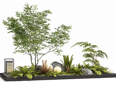Mixed Plant Combination With Tree Ferns Stones Lantern And Round Globes In Black Tray 3d model
