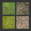Various Plant Cover Samples With Green Yellow Green And Brown Foliage Textures