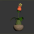 Potted Plant Featuring Red Flower Yellow Stamens and Green Leaves in Clay Pot