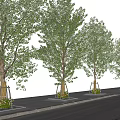 Lush Green Arbor Trees With Trunk Supports Lined Along Street Sidewalk