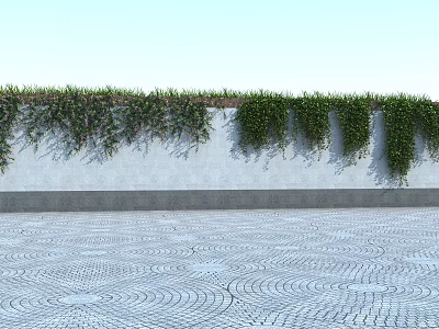 Lush Green Vines Hanging Down White Wall With Circular Patterned Ground 3d model