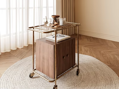 Modern Rolling Side Table With Brass Frame Wooden Cabinet And Tray On Living Room Rug 3d model