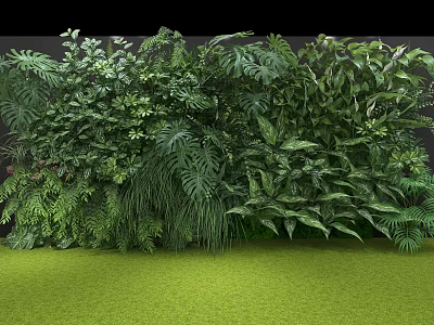 Lush Green Plant Wall With Diverse Tropical Foliage And Fresh Grass Base 3d model