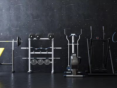 Professional Gym Fitness Equipment With Barbell Dumbbell Rack Elliptical Trainer And Squat Stand 3d model