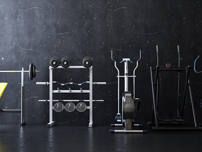 Modern Fitness Equipment model