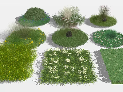 Diverse Flowers and Grass Varieties in Circular and Square Garden Patches with Colorful Blooms 3d model