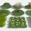 Diverse Flowers and Grass Varieties in Circular and Square Garden Patches with Colorful Blooms