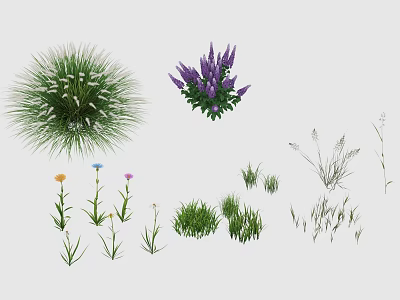 Diverse Collection of Flowers and Grasses with Purple Blooms Wildflowers and Ornamental Grasses 3d model