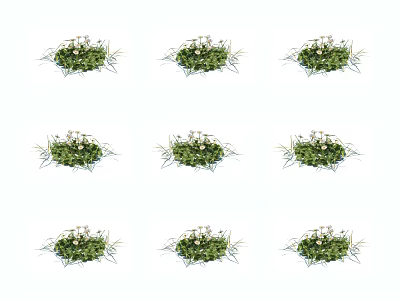 Fresh Natural Green Grass With Small White Flowers Decorative Garden Plant Arrangement 3d model
