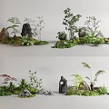 Diverse Decorative Plant Combinations With Green Foliage Rocks And Natural Elements