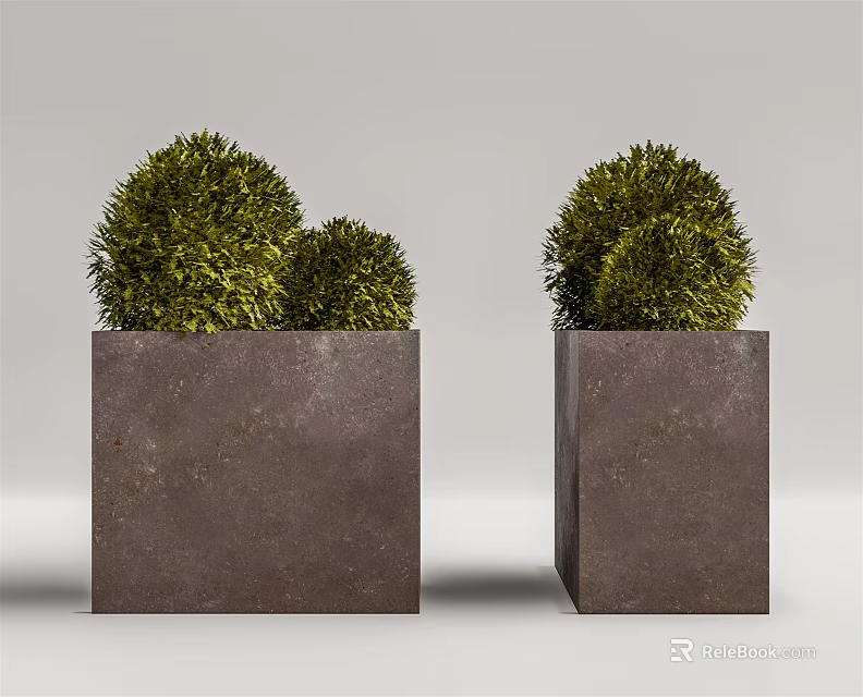 Two Bonsai Plants In Square Concrete Planters With Green Spherical Foliage 3d model 