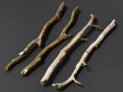Natural Stone And Dried Wooden Branches For Rustic Home Decoration Projects 3d model