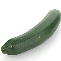 Fresh Green Whole Zucchini Vegetable For Healthy Cooking And Diet Plans