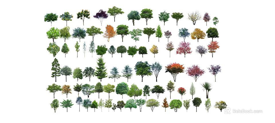 Diverse Tree Varieties Featuring Different Foliage Shapes Colors And Sizes 3d model