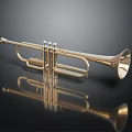 Shiny Golden Brass Trumpet Instrument on Black Background with Reflection