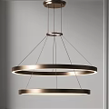Modern Double Ring Metallic Chandelier With Illuminated Circles In Minimalist Setting 3d model
