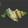 Orange And White Striped Conch Shell With Spiral Shape On Gray Background 3d model