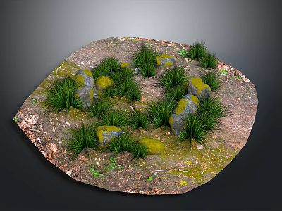Circular Wooden Stone Ground With Green Grass Mossy Stones And Fallen Leaves 3d model