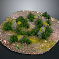 Circular Wooden Stone Ground With Green Grass Mossy Stones And Fallen Leaves