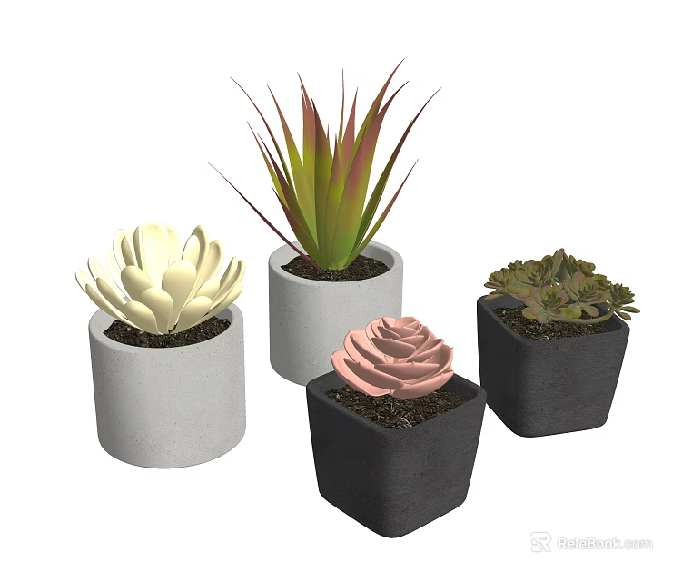 Bonsai Potted Succulent Plants In White Gray Black Pots With Various Shapes 3d model 