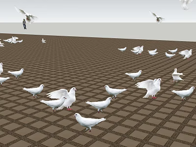 White Doves As Flying Animals Flying And Standing On Checkerboard Ground With Distant Person 3d model