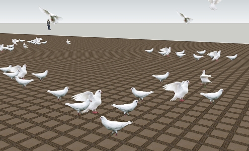 Modern flying animals pigeons 3d model