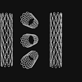 High Quality Medical Devices Mesh Stents Various Shapes For Implantable Use