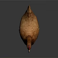Brown Feathered Chicken With Red Comb And Yellow Claws On Dark Background