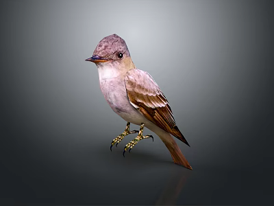 Pink And Brown Feathered Flying Animal Bird Standing With Golden Claws On Gray Background 3d model